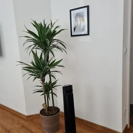 Apartmenthaus Gratzer *