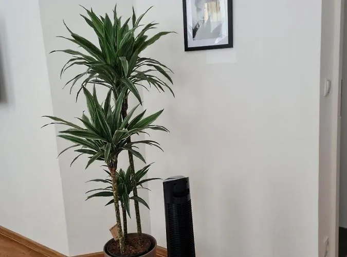 Apartmenthaus Gratzer *