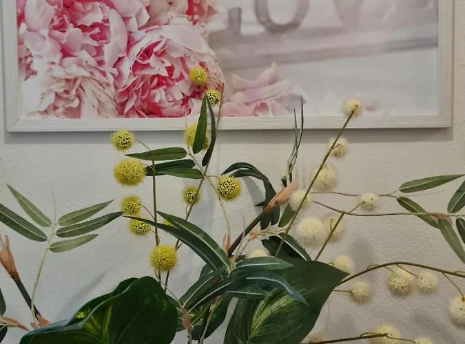 Apartament Apartmenthaus Gratzer *